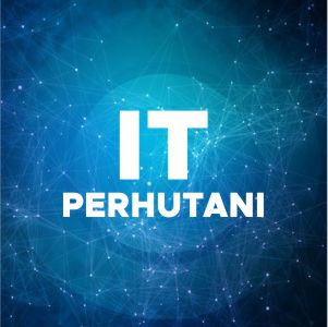 Developer PeFI