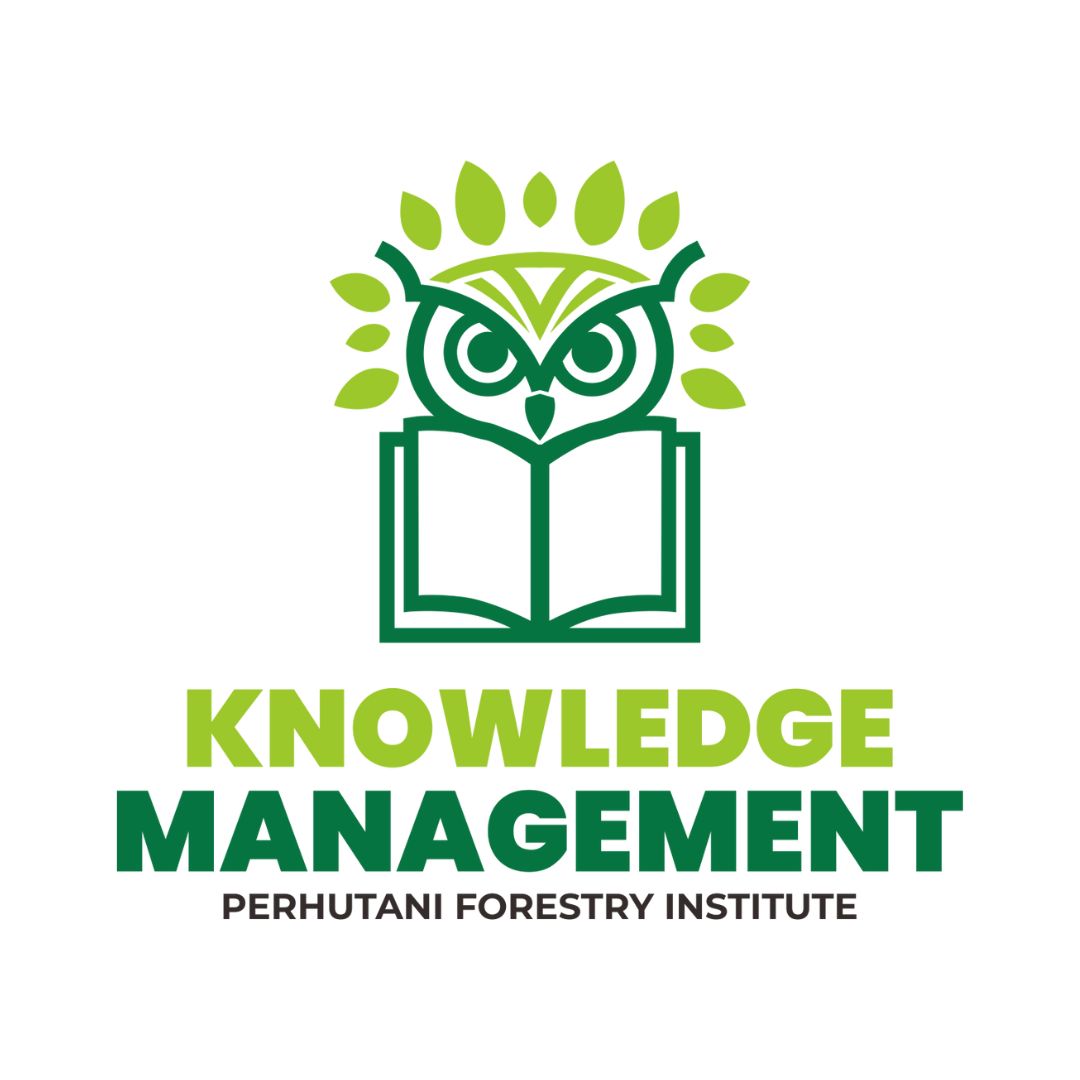Knowledge Management PeFI